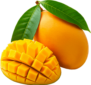 Mangue