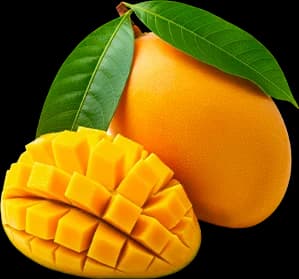 Mangue