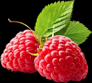 Framboise