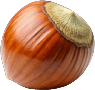 Noisette